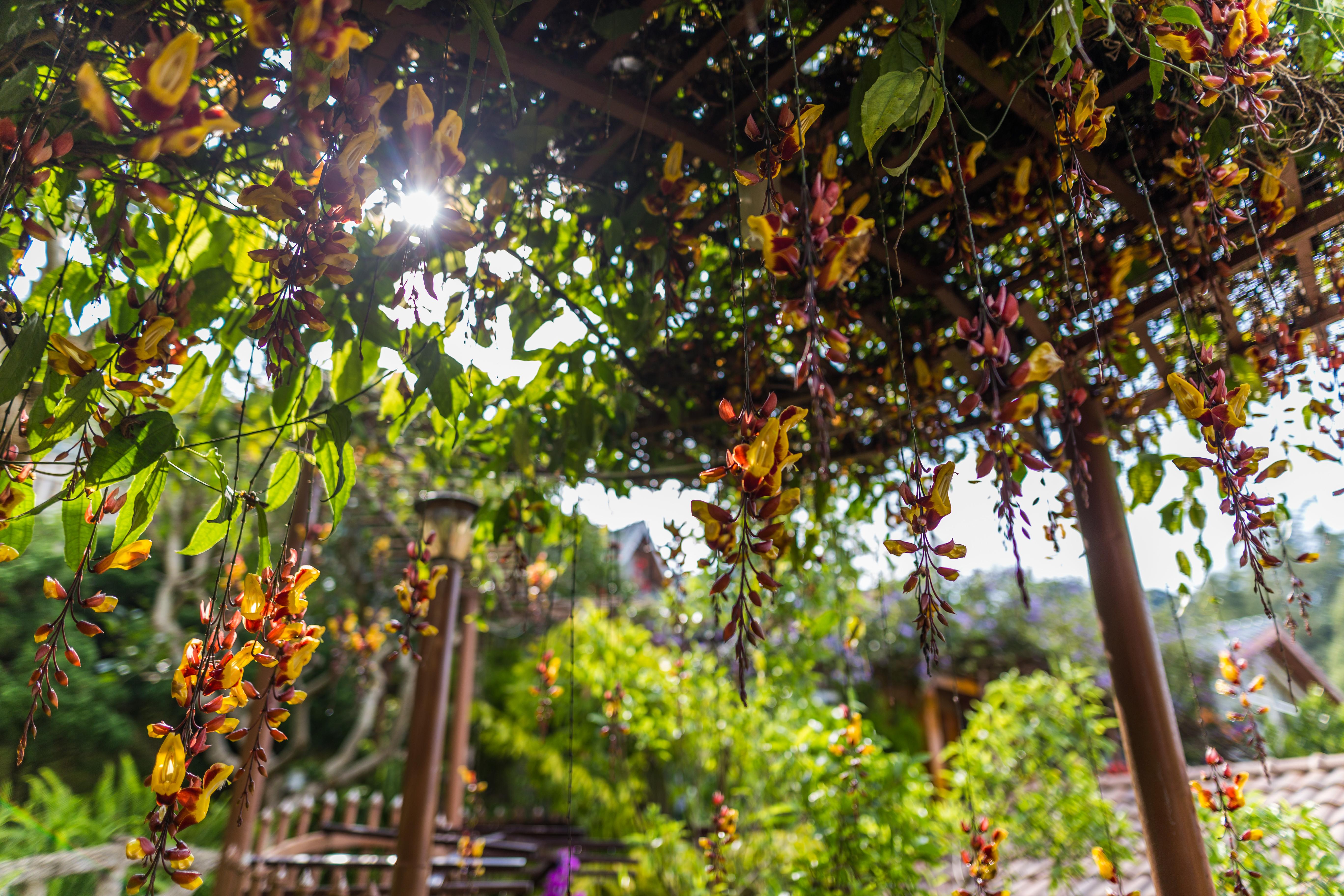 Zen Valley Dalat Exterior photo